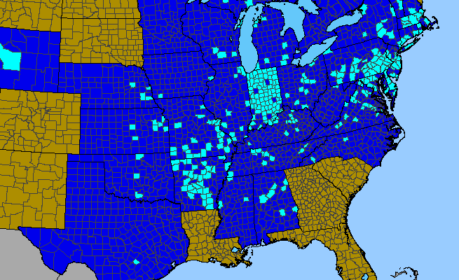 The range of Muscari botryoides